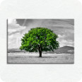 Leinwand-Bilder | Leinwandbild grüner Baum